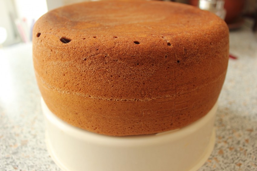 Бисквит в мультиварке бисквит медовик