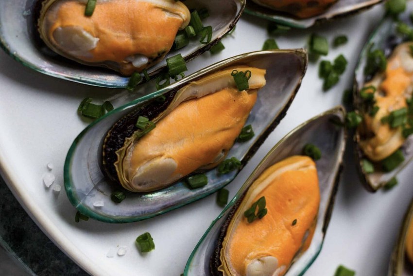 Мидия Грея фото