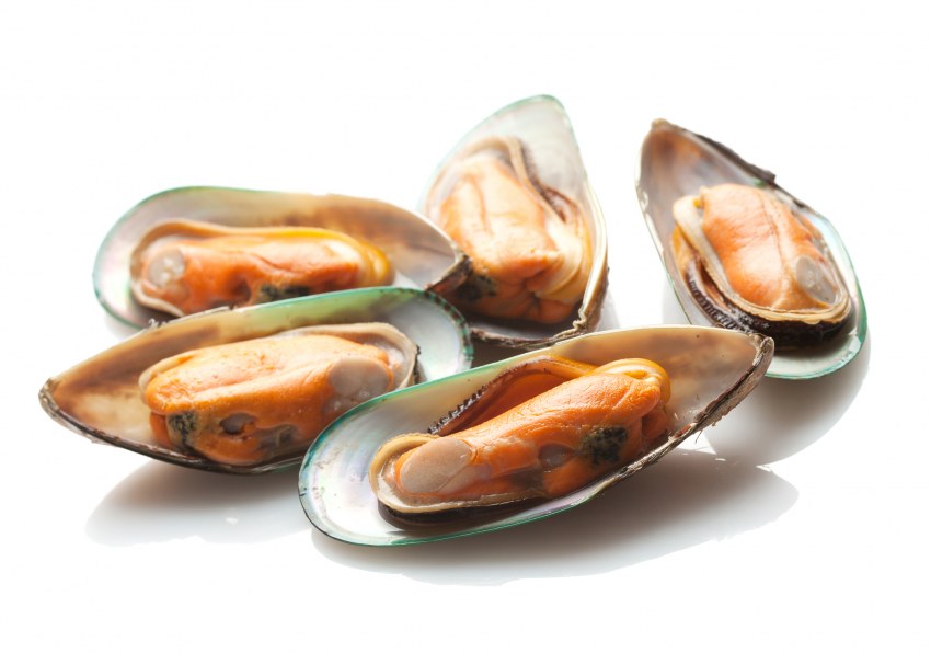 Мидии Чили в створках
