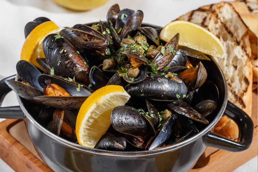 Мидии в море Камчатки