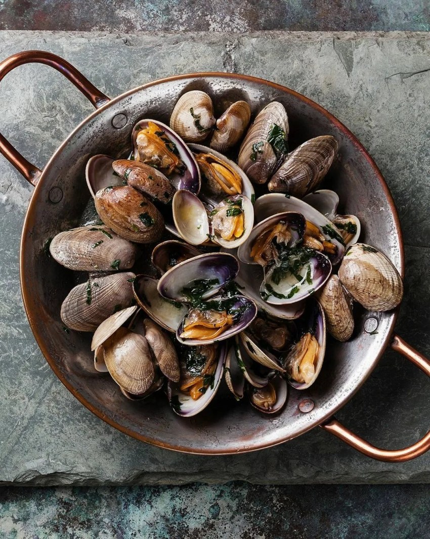 Мидия моллюск