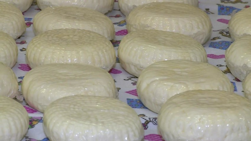 Адыгейский сыр Альпийский