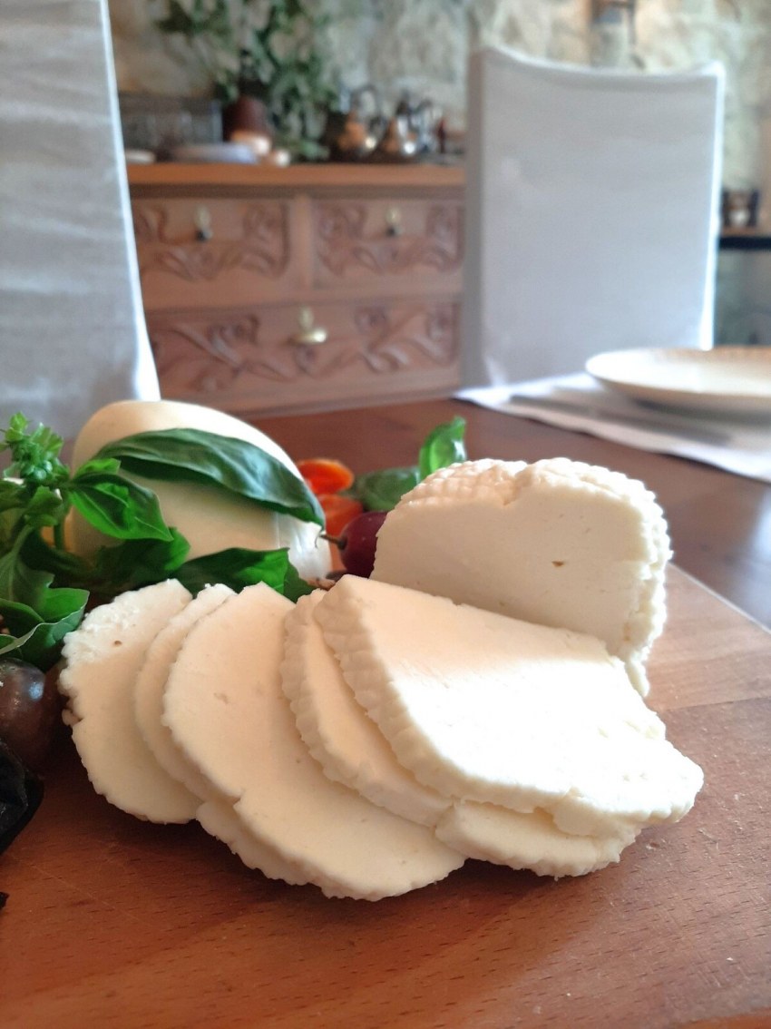 Адыгейский козий сыр