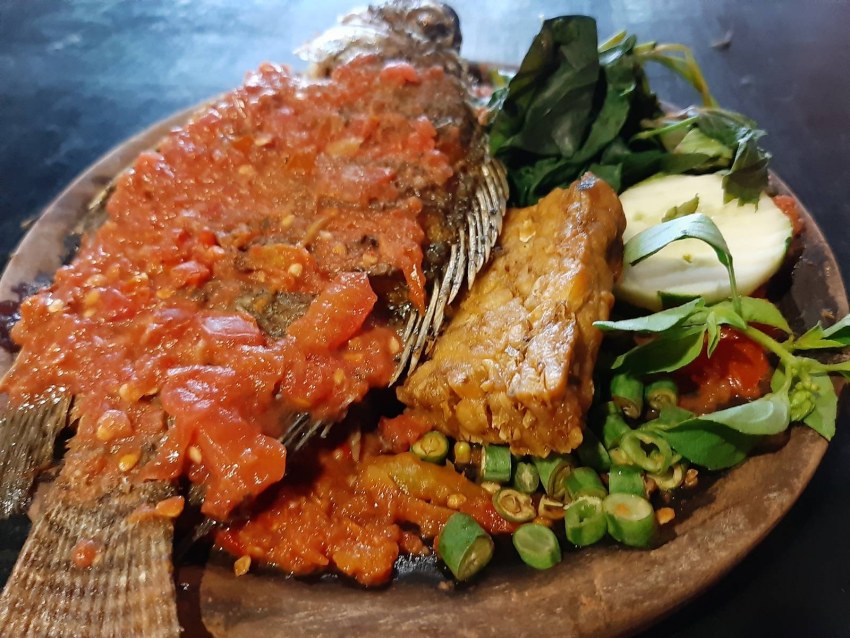 Муксун среда обитания рыбы