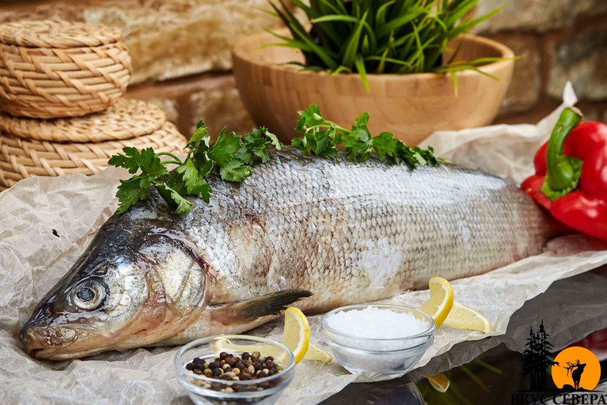 Муксун рыба холодного копчения