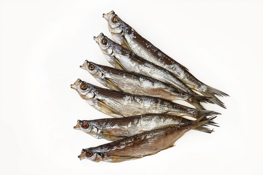 Вобла чехонь вяленая