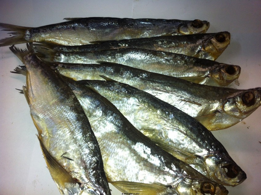 Сопа чехонь синец