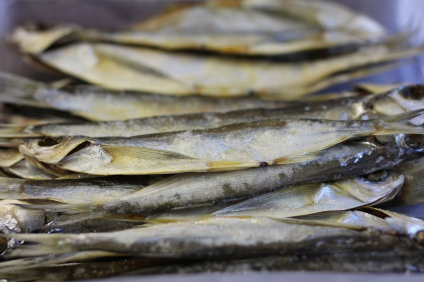 Чехонь рыба вяленая