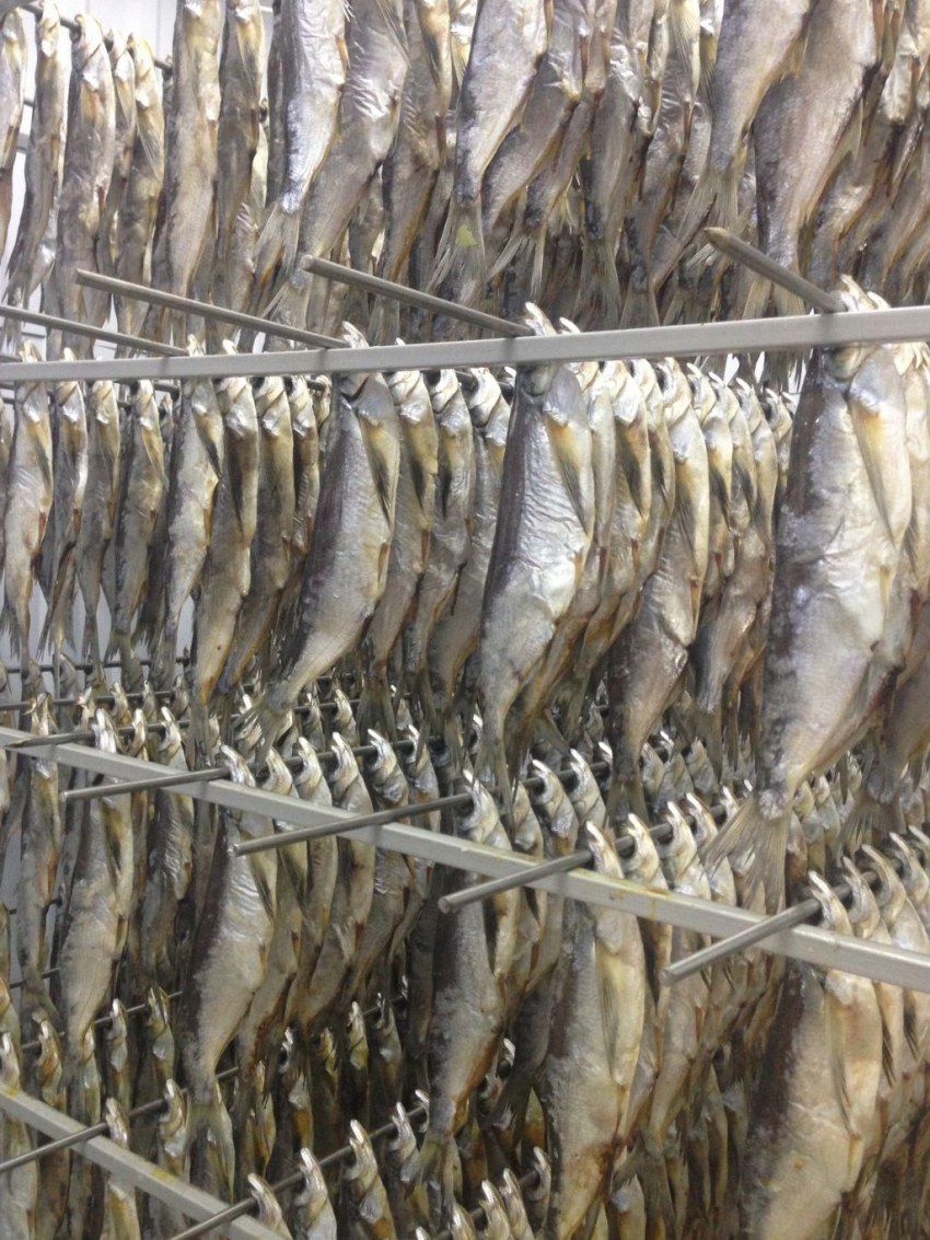 Сушка чехони