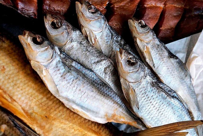 ?Чехонь. Чехонь рыба