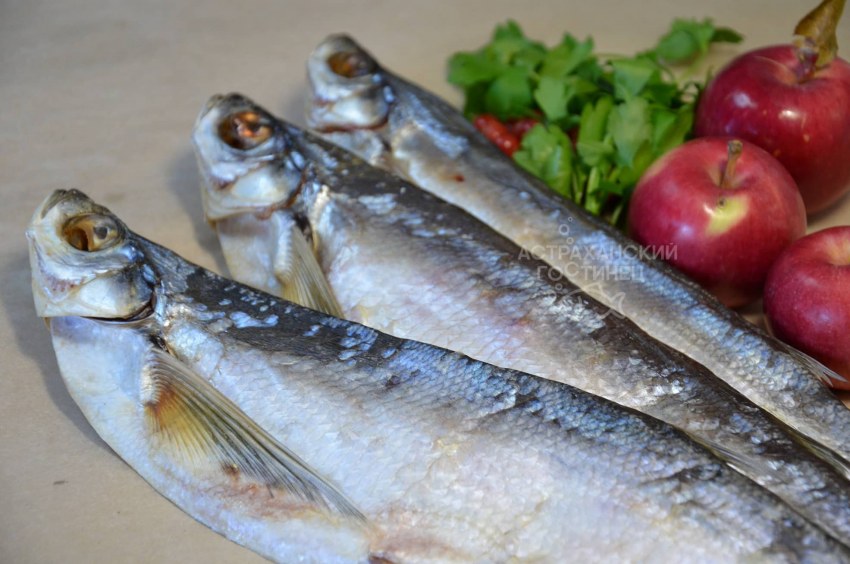 Чехонь Азовская