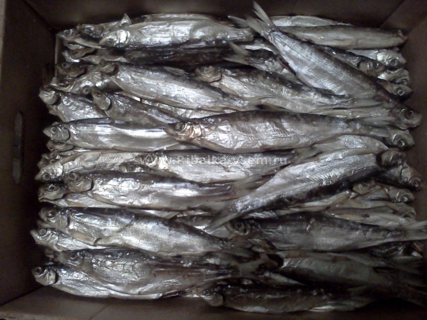 Вяленая рыба на тарелке