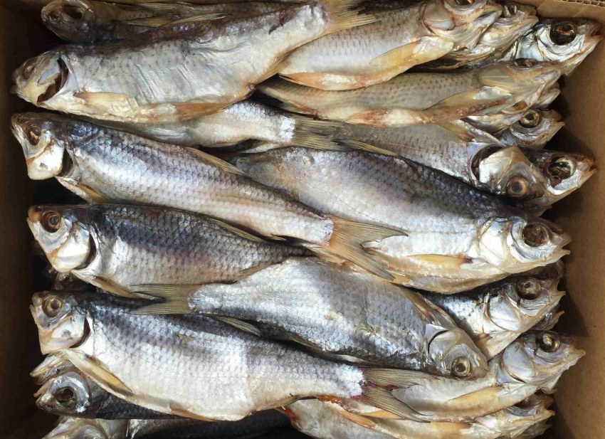 Пелядь вяленая чехонь