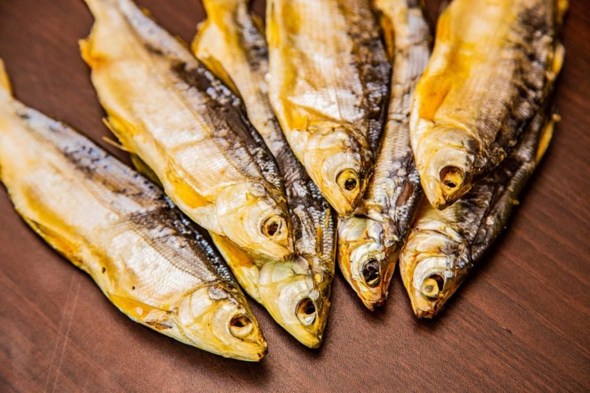 Чехонь Волжская