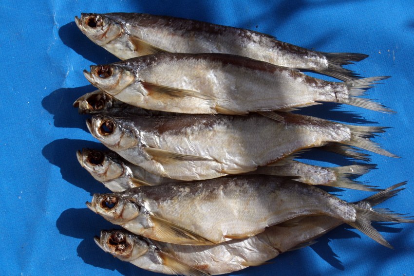 Чехонь вяленая 300 г