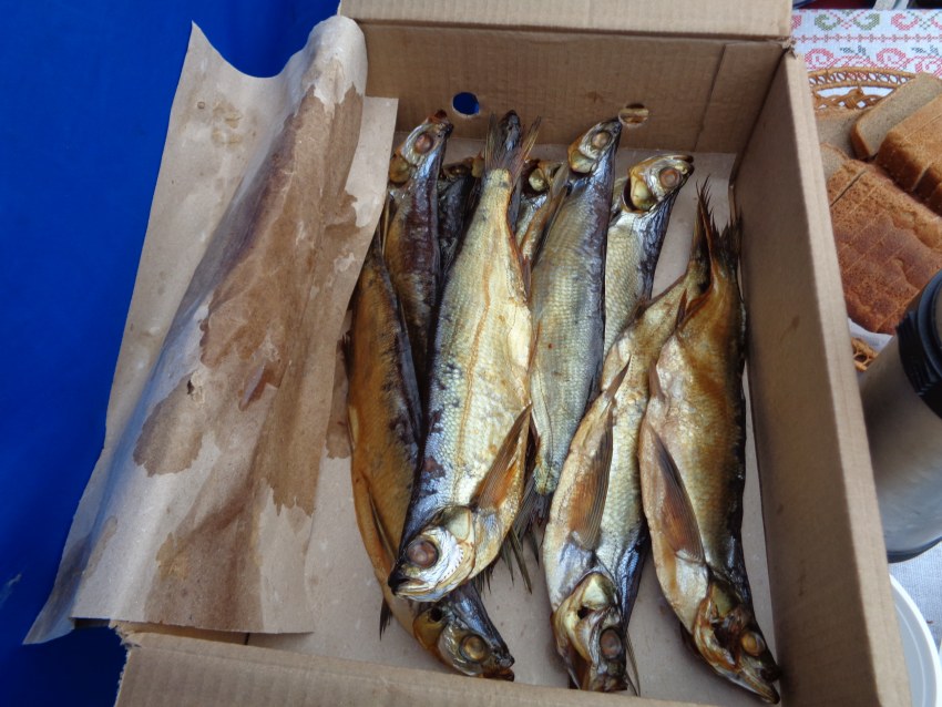 Сушеная рыба на черном фоне