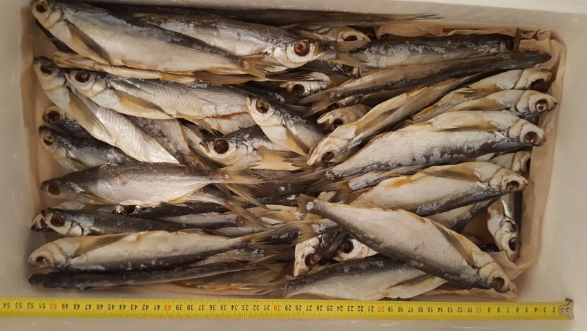 Шкаф для подвяливания рыбы