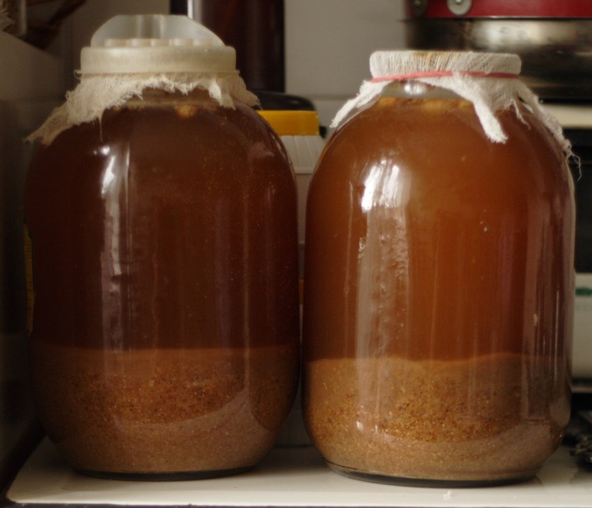 Квас домашний хлебный