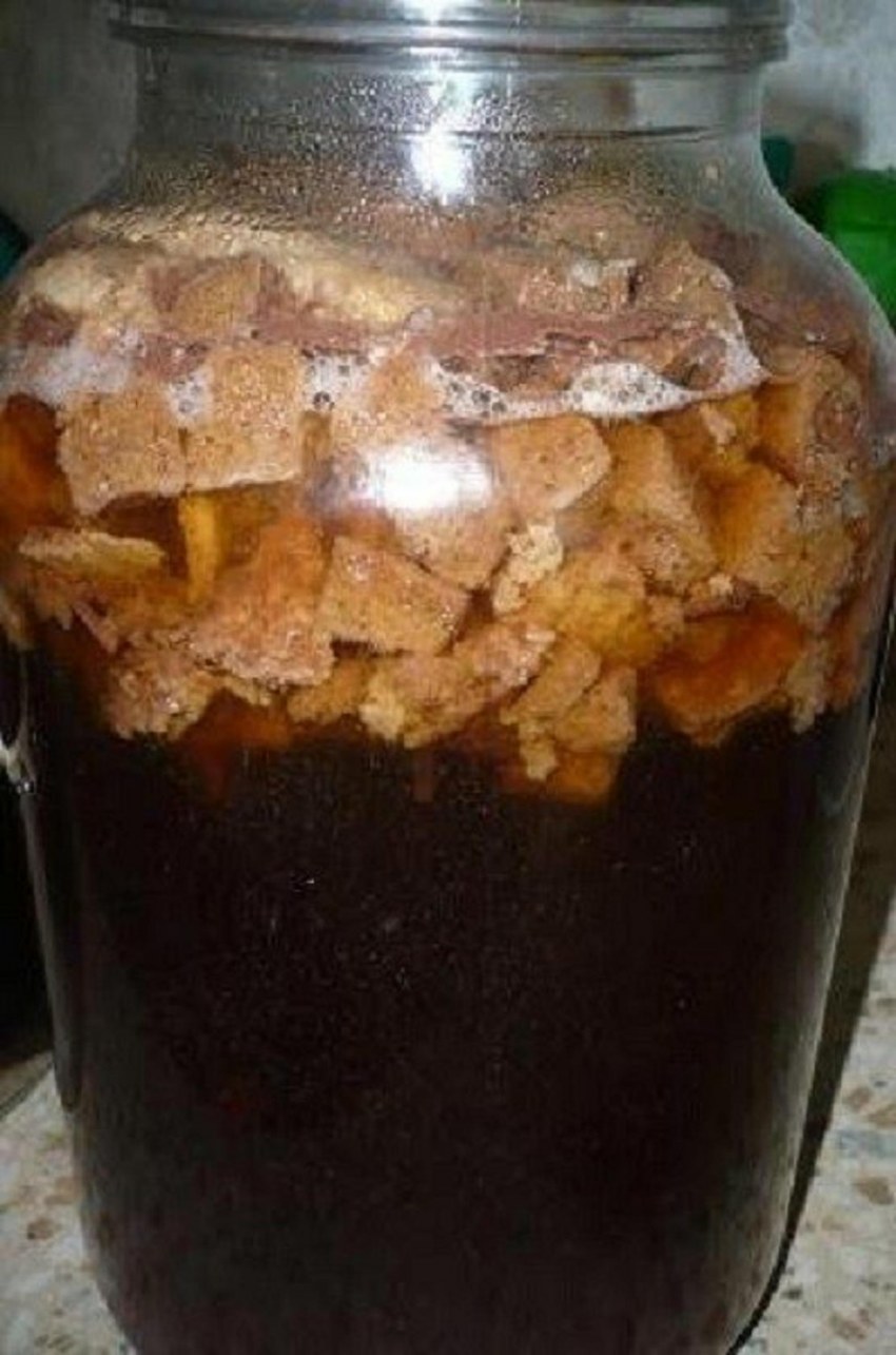 Квас домашний хлебный