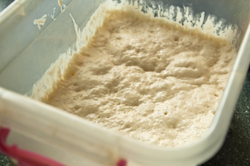 Дрожжевой кекс весенний