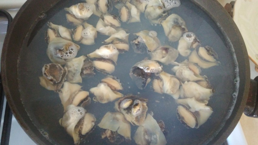 Рапаны в слив соусе