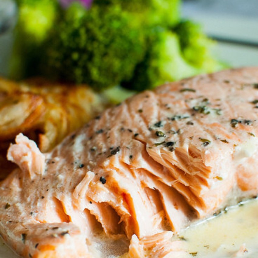 Лосось с соусом бешамель