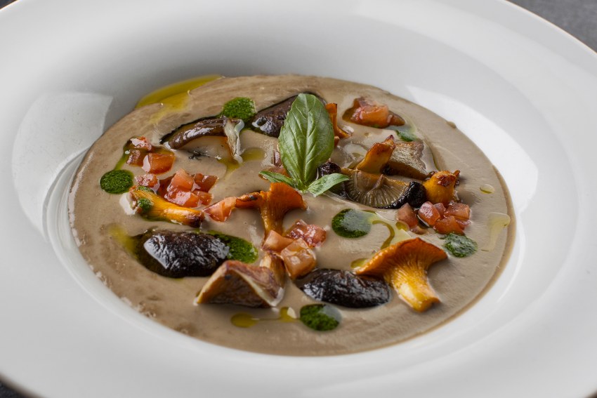 Грибница суп