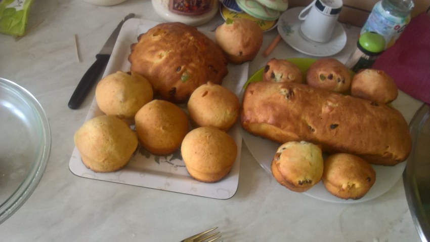 Вергуны медовые