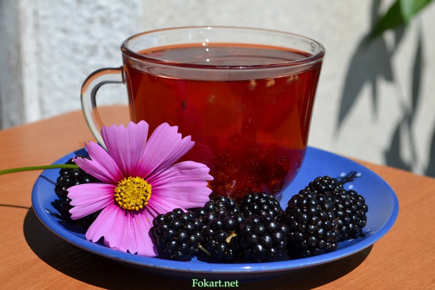 Чай с сосновыми почками