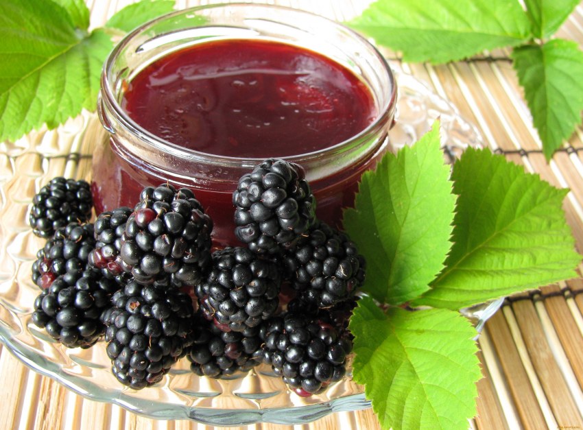 Бекмес из шелковицы