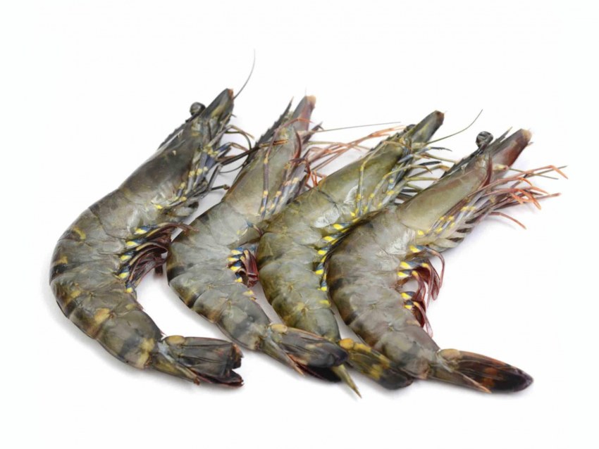 Креветка с/м б/г в панцире 16/20 (1кг*10шт)