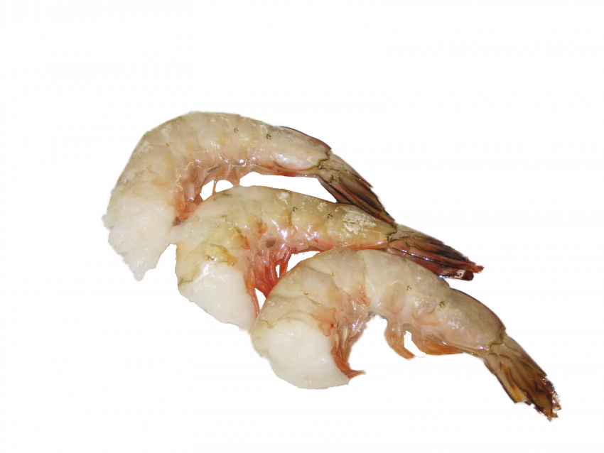 Креветка тигровая 16/20