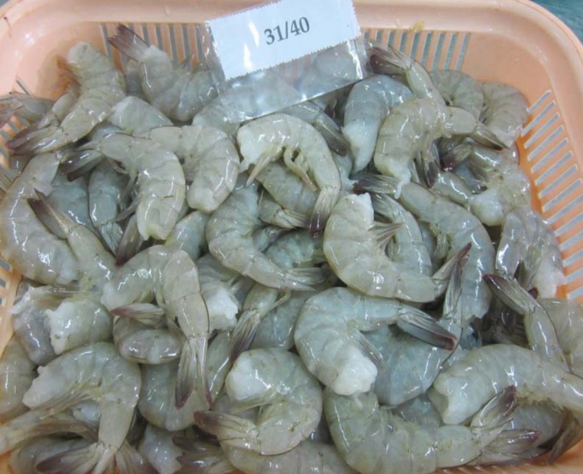 Хитин у креветок