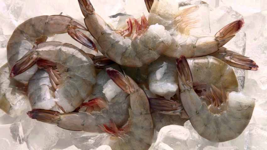 Тигровая шримс креветка