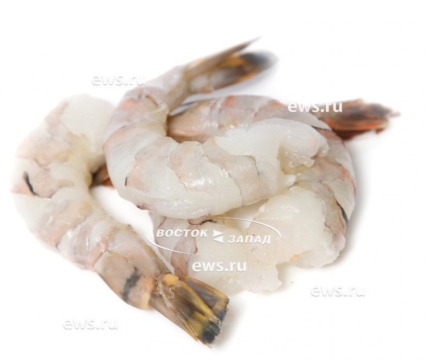Креветки тигровые б/г 16/20 Индия