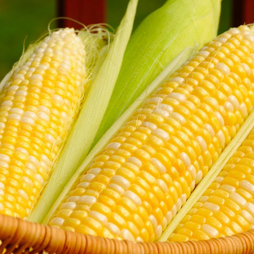 Салат с кукурузой