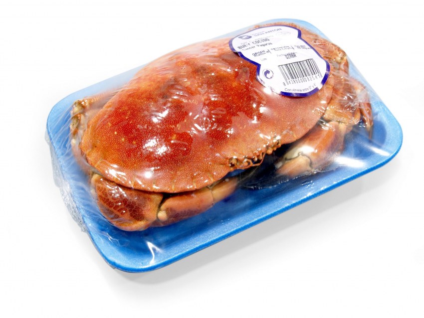 Морская звезда в креветках