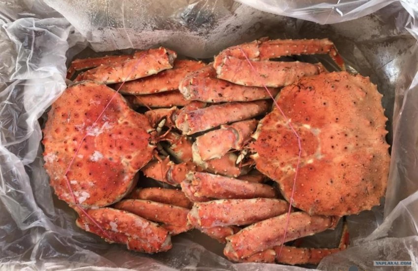 Краб замороженный