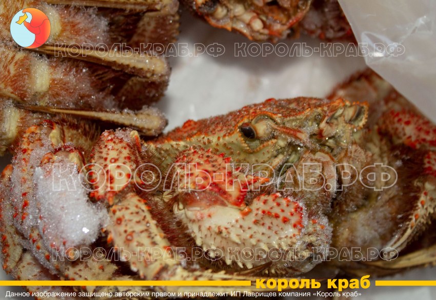 Краб замороженный