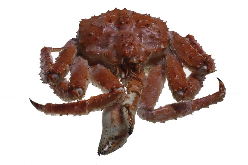 Краб фаланг Камчатский 240гр.