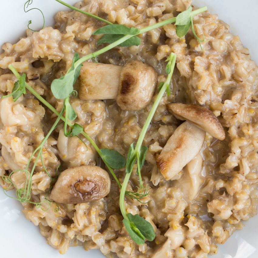 Перлотто с вешенками