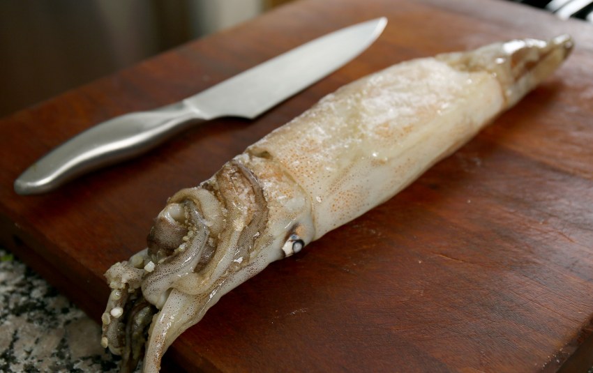 Нежные кальмары