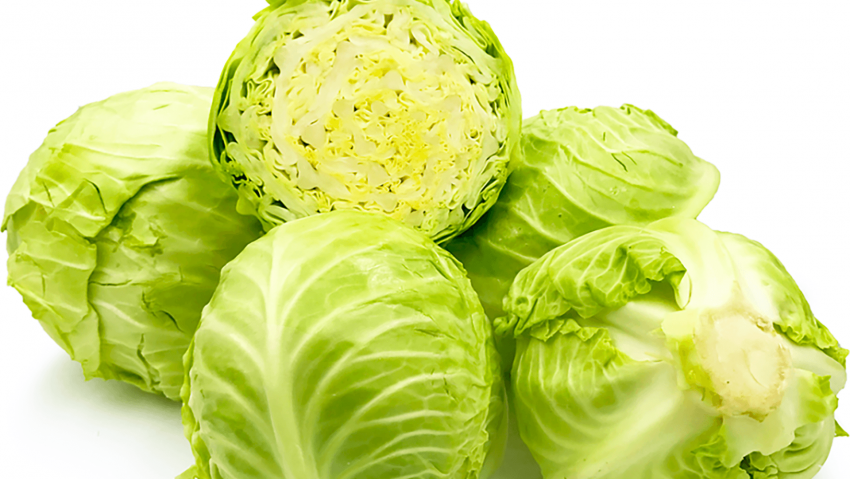 Капустабелокачанная Квашенка