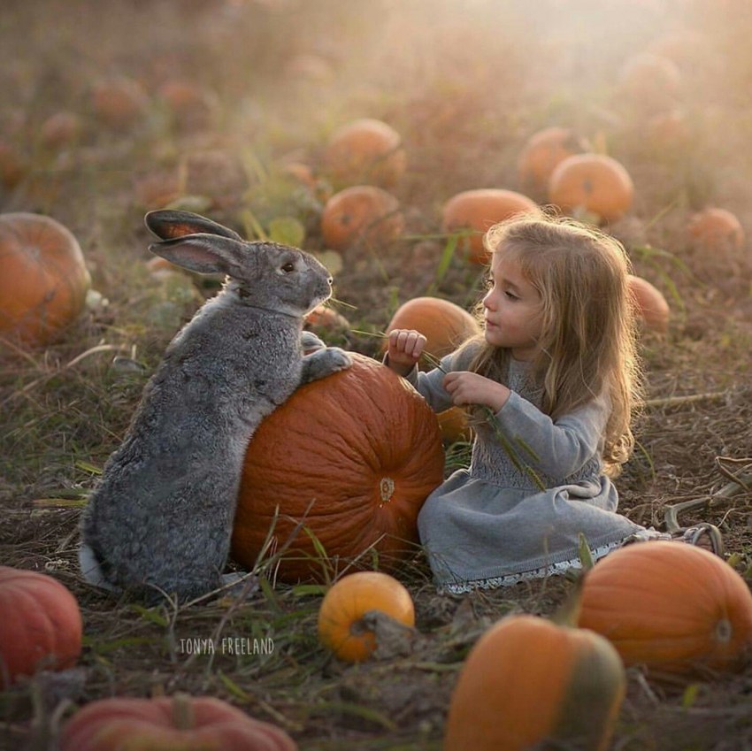 Фотосессия с тыквами детская
