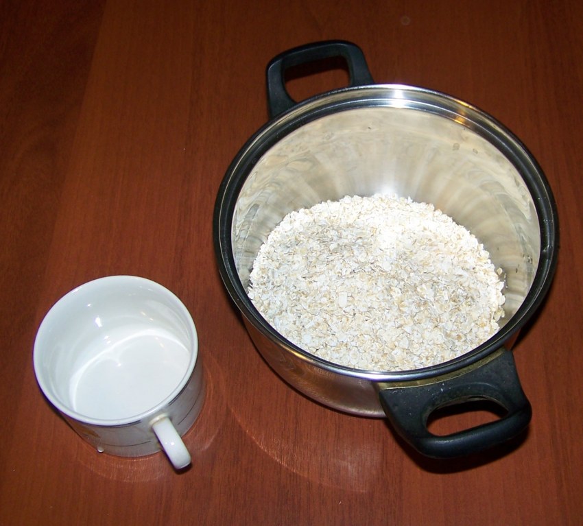 Каша из саги