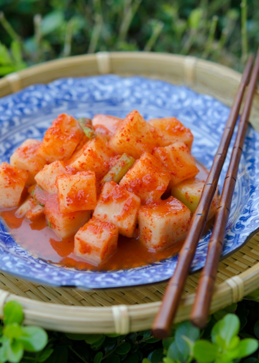 Кимчи и кактуги