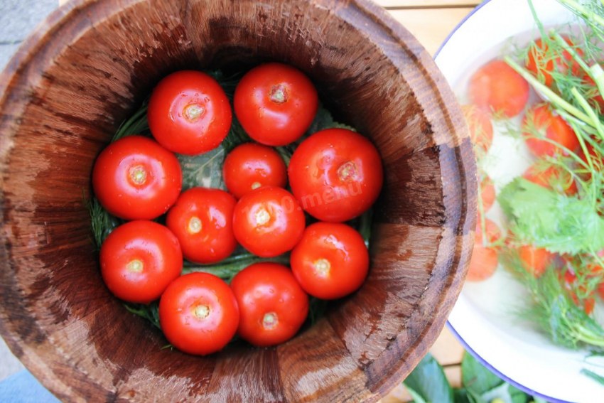 Помидоры малосольные фарширов