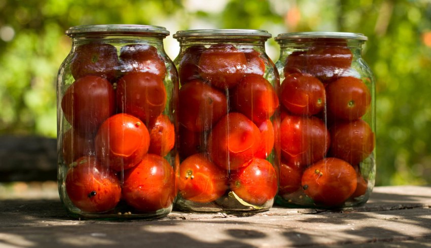 Маленькие помидоры в Италии