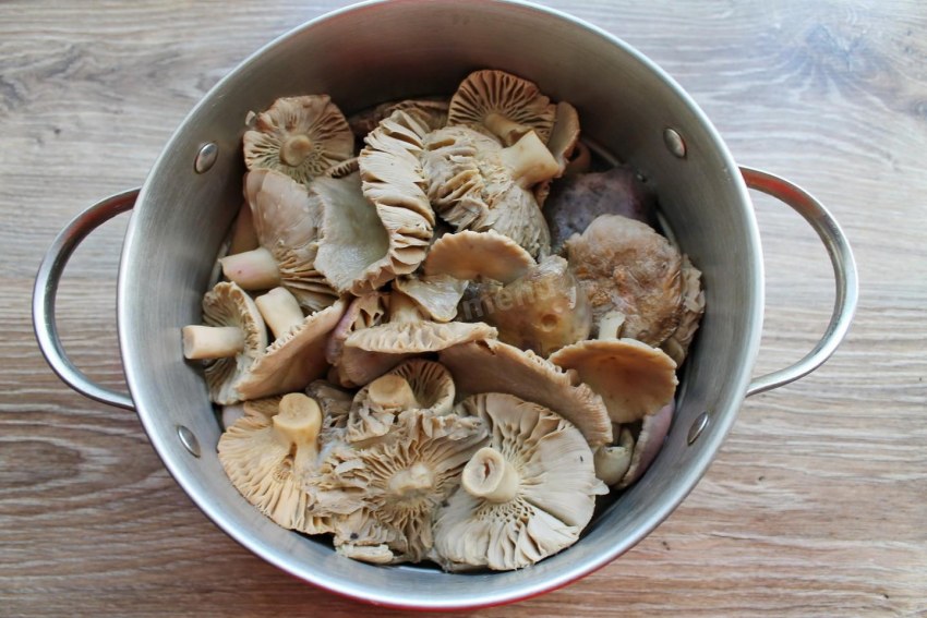 Съедобные грибы в самых разных видах домашних заготовок
