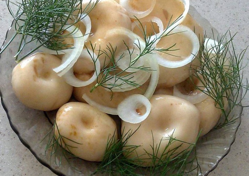 Сыроежки маринованные